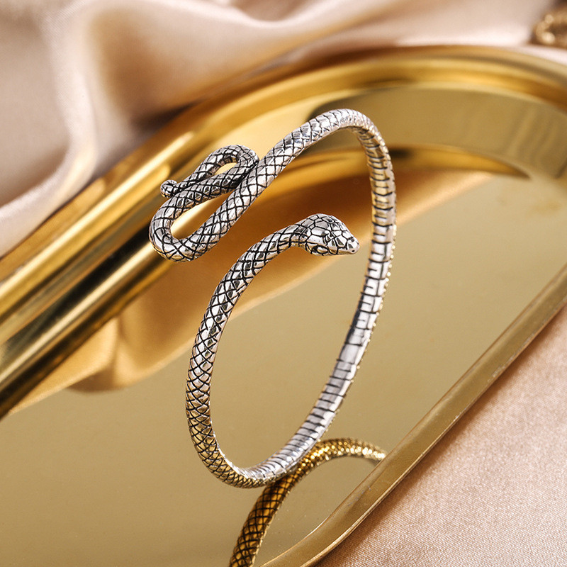 Bracelet Rigide Serpent Fin